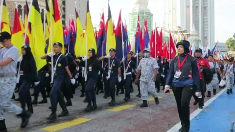 My Video19 Stock Footage 219977860