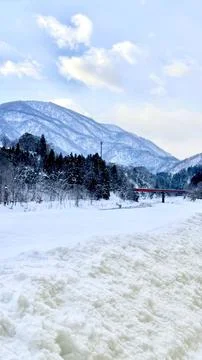 My winter Stock Photos