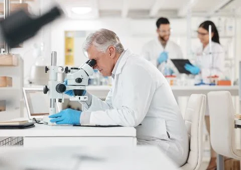 My work directly impacts the world. a mature scientist using a microscope in a Stock Photos