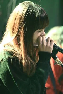 Mya harmonica Stock Photos