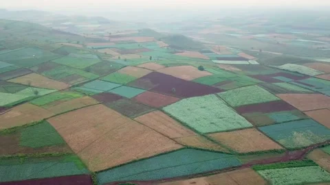 Myanma colorful  fields Stock Footage 156092412