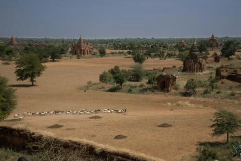 Myanmar: Bagan Temples on the Plain Foto stock