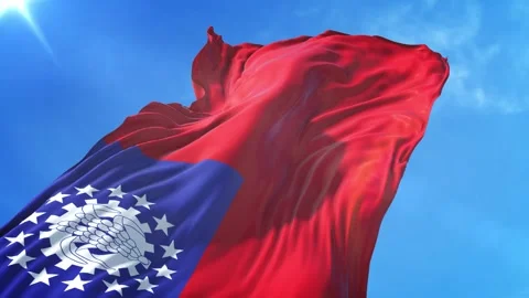 Myanmar Burma Flag Low Angle View Stock Footage 295693373
