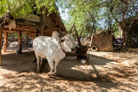 Myanmar Stock Photos