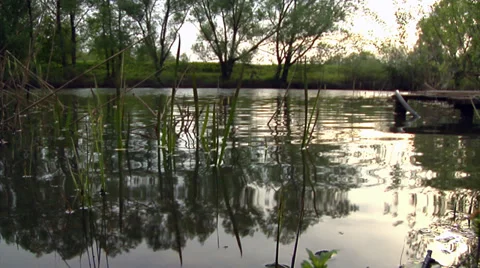 Myasnoye, Russia Stock Footage 36749165