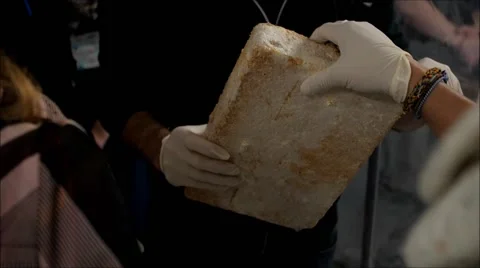 Mycelium insulating plate. Stock Footage 62041701