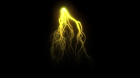 Mycelium network , fungal root system growing . 3d animation Stock Footage 116133472