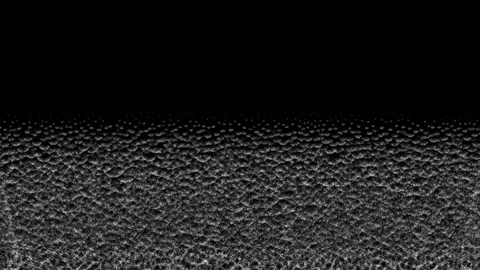 Mycelium Network Linear Growth - Black Background Stock Footage 314695873