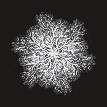 Mycelium Network Texture – Digital Illustration, Organic Pattern 스톡 일러스트