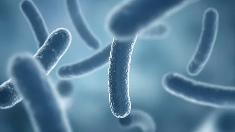 Mycobacterium tuberculosis seen by electron microscope. HD Stock Footage