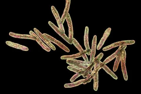 Mycobacterium ulcerans, the causative agent of Buruli ulcer, 3D illustration Illustrazione stock