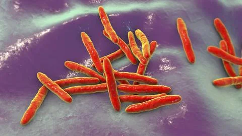 Mycobacterium ulcerans, the causative agent of Buruli ulcer, 3D illustration Stock Illustration