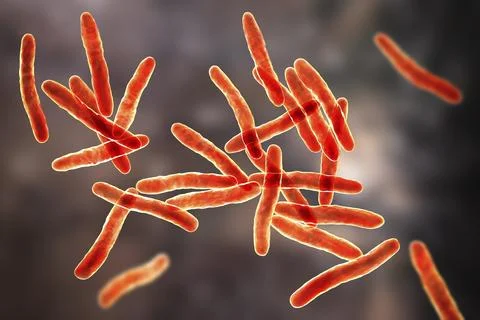 Mycobacterium ulcerans, the causative agent of Buruli ulcer, 3D illustration Stock Illustration