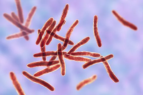Mycobacterium ulcerans, the causative agent of Buruli ulcer, 3D illustration Stock Illustration