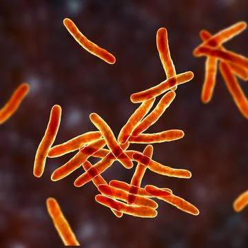 Mycobacterium ulcerans, the causative agent of Buruli ulcer, 3D illustration Stock Illustration