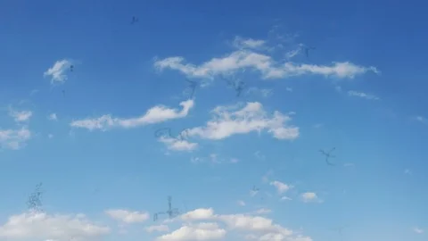 Myodesopsia (Eye Floaters) looking at the Sky Stock Footage 76762556