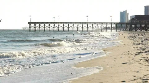 Myrtle Beach Pier 動画素材 751513