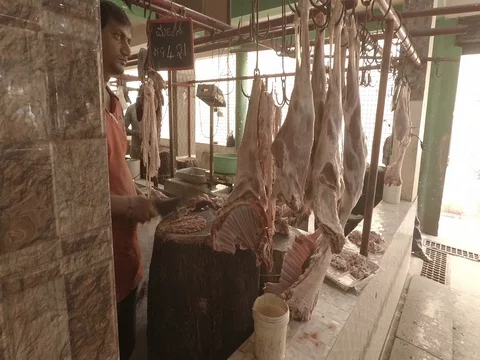 MYSORE, India - men prepare meat at a Mysore Meat Market Stock Footage 84211771