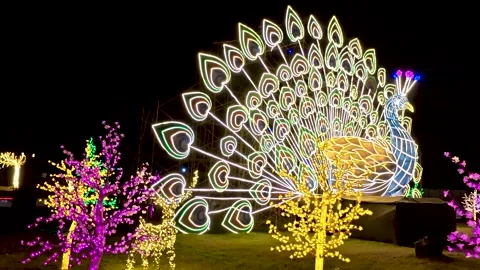 Mysore palace cityscape during Dussehra, Navratri celebration in India. Stock Footage 320654611