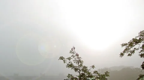 Myst Stock Footage 6732173