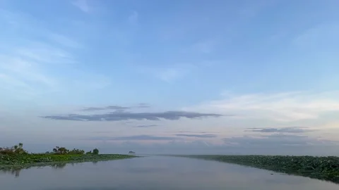 Myst Over Corroboree billabong Stock Footage 290165480