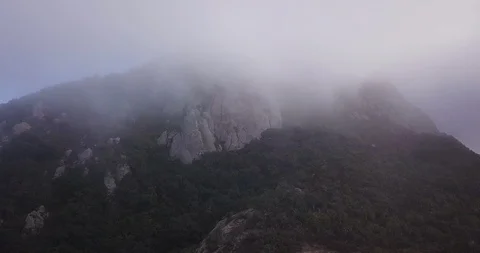 Foggy Peak Brazil