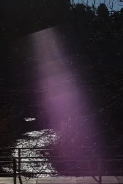 Mysterious and violet backlight Stock Photos