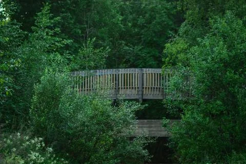 Mysterious bridge in the forest Stock Photos