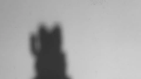 Mysterious cat shadow figure gesturing, hinting at hidden action and suspense in Video stock 318610914