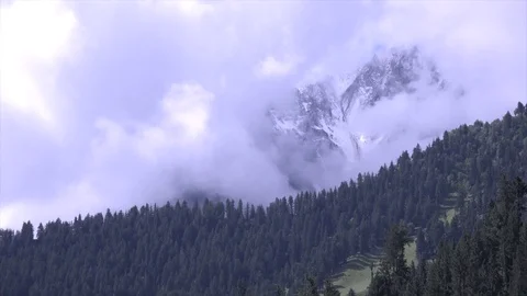 Mysterious clouds in Naltar Valley Stock Footage