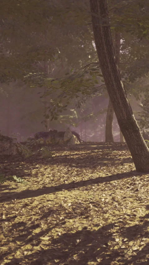 Mysterious creatures roam through an enchanted forest at dawn Video stock 341397511