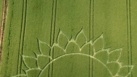 Mysterious Crop Circle Patterns in Agricultural Farmland, Aerial Drone View Stock Footage 248681860