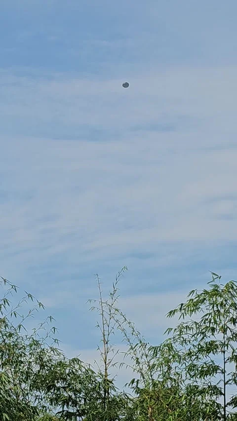 Mysterious Dark Object Floating In Blue Sky Above Trees Stock Footage 332026626