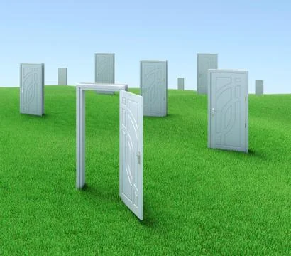 Mysterious doors Stock Illustration