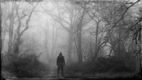 A mysterious figure back to camera,  looking down a path in a spooky forest. Stock Photos