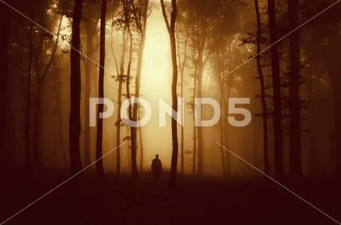 Mysterious figure in gloomy dark forest at sunset Stock Photos