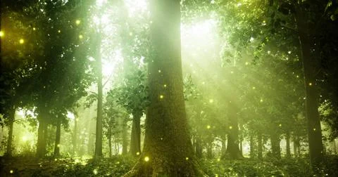 Mysterious forest ambiance with glowing elements during golden hour Stock Illustration