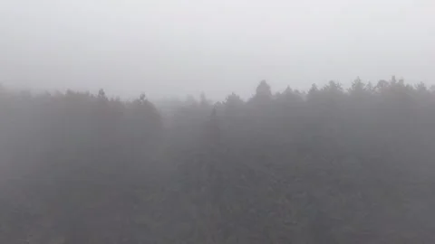 Mysterious Forest | Dense Fog | Japan - 4K Aerial Video Stock Footage 329055598