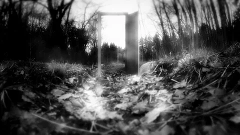 Mysterious forest, the door to nowhere. Video stock 82309011