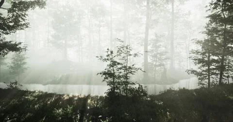 Mysterious forest landscape with mist over a calm river at dawn Ilustração Stock