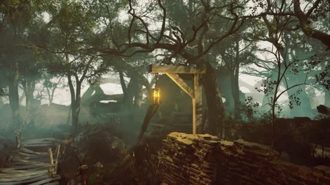 Mysterious forest path illuminated by lantern light in evening haze Stock Footage 341832981