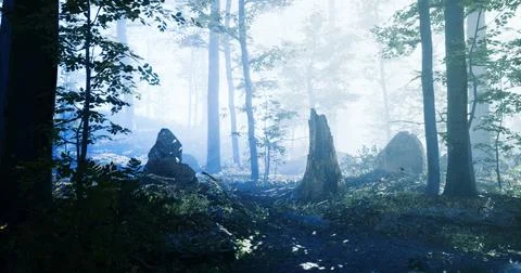 Mysterious forest pathway shrouded in mist during early morning hours Stock Illustration