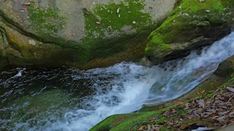 Mysterious forest with river flowing over rocks Stock Footage 324559637
