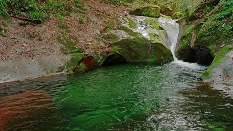Mysterious forest with river flowing over rocks Stock Footage 324559655