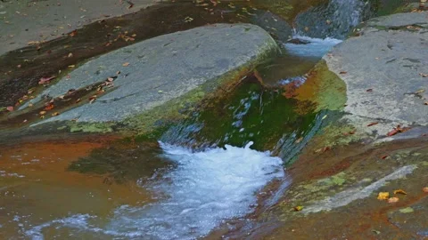 Mysterious forest with river flowing over rocks Stock Footage 324559717