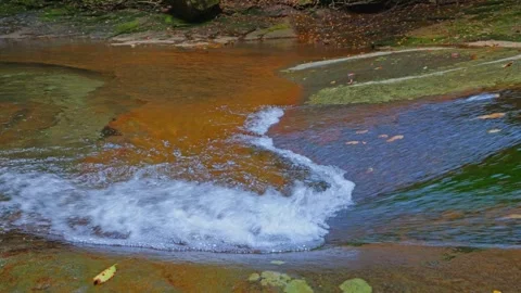 Mysterious forest with river flowing over rocks Stock Footage 324559839