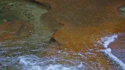 Mysterious forest with river flowing over rocks Stock Footage 324559864