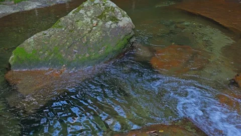 Mysterious forest with river flowing over rocks Stock Footage 324559877