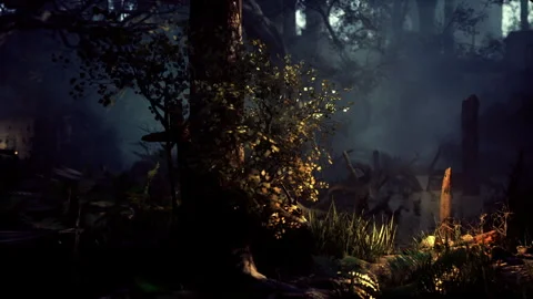 Mysterious forest scene under moonlight inviting serenity and wonder Stock Footage 340666760