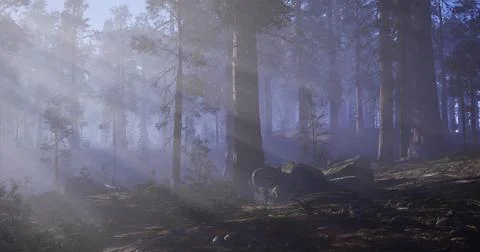 Mysterious forest with sunlight filtering through the trees at dawn Stock Illustration